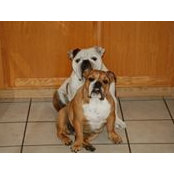 Joy Myers's photo