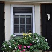 Carole Sullivan's photo