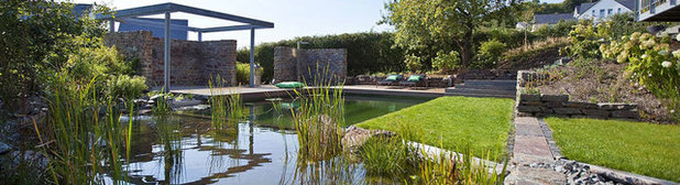 Современный Бассейн Residential Natural Swimming Pool