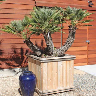 Großer, Halbschattiger Stilmix Garten im Sommer, hinter dem Haus mit Kübelpflanzen in Sacramento