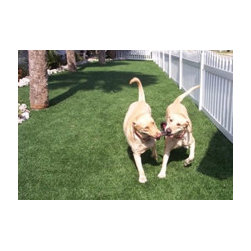 Endless Uses for Artificial Turf - Products
