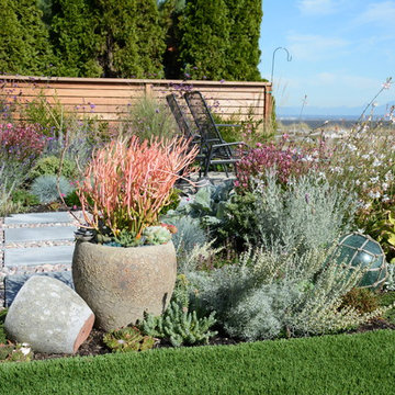 Contemporary Seaside Garden