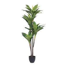 60" Real Touch Dracaena X 5 W/68 Lvs In