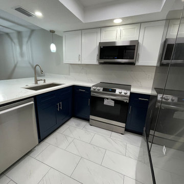 Full Condo Reconstruction - Central