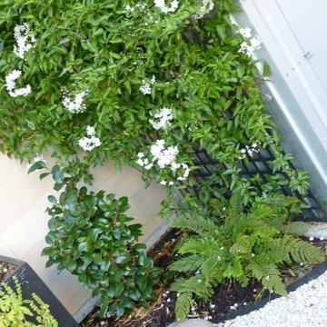 Un coin de nature en ville