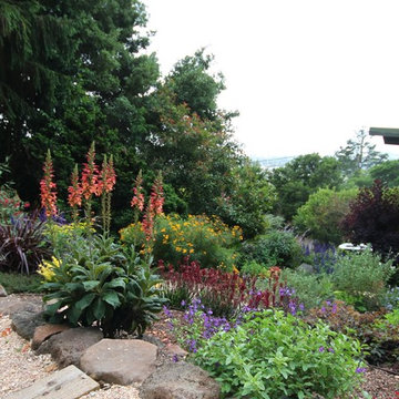 A Hillside of Vibrant Color
