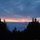 webuser_21767