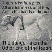 Pamela Mullins's photo