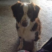 Michelle Belcher's photo