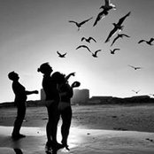 Kimberly McCann's photo