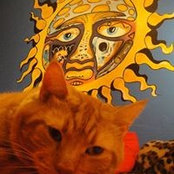 Foto de Benny Cat
