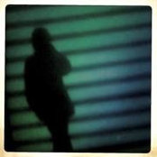 Kim Willson's photo