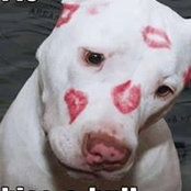 Linda Gordon's photo
