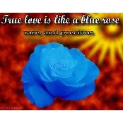 Irshad Ali's photo