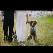 Miranda Knox's photo