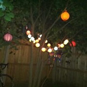 Carrie Abbott-Walk's photo
