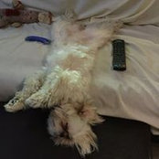 Foto von Debby Anger