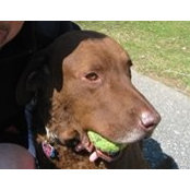 Lee Goldstein's photo