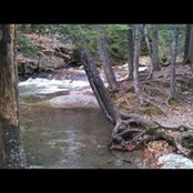 Freda Levesque's photo