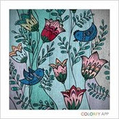 Lisa Carman's photo