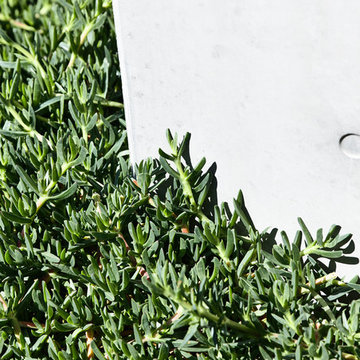 Blairgowrie Coastal Home & Landscape