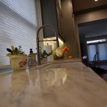 Transitional Kitchen, Master and Guest Bath Update in Historical Denver Square