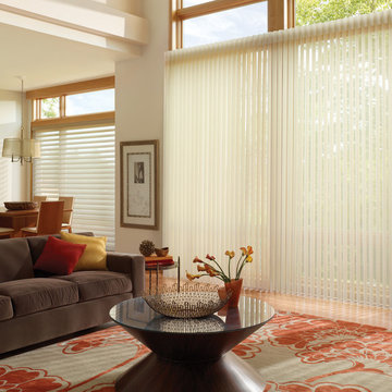 Hunter Douglas Eclectic Window Treatments and Draperies
