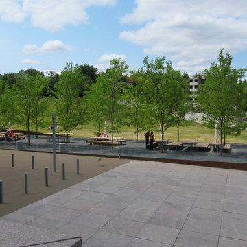 Walker Art Center Grove
