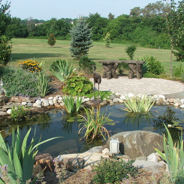 Koi Pond and Waterfall- Small Scale Design