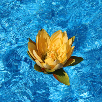Custom Vinyl Liner Pool