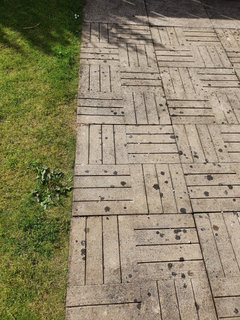 Removing Black Spot On Pavers Next To Grass Houzz Uk