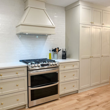 White Modern Kitchen Remodel