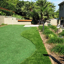 Turf