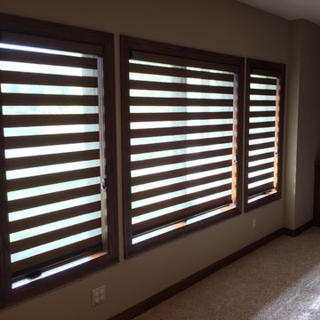 Allure Transitional Shades
