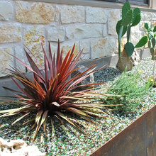 Landscape Ideas