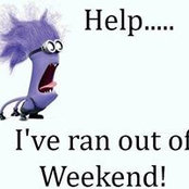 Diane Montgomery's photo