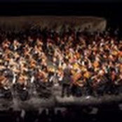 Mark Barnard's photo