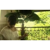 Gladys Chandraditya's photo