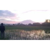 Foto von Agung Ridwan