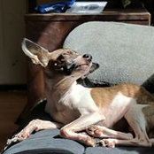 Heather Zousel's photo