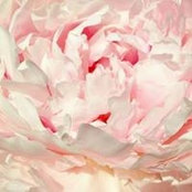 Foto von Maggie Sutherland