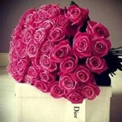 Mai Youssef's photo