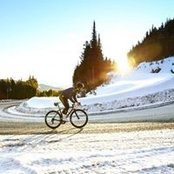 Ryan Taylors foto