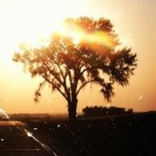 Theresa Kjelgaard's photo