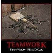 Craig Geater's photo