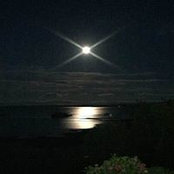 Cara Starr's photo