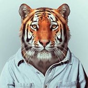 Klaas Engelhardt's photo