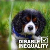 Roisin Kavanagh's photo