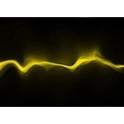 Alexander Lim's photo