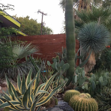 Various Xeriscapes by Team Rhinamic